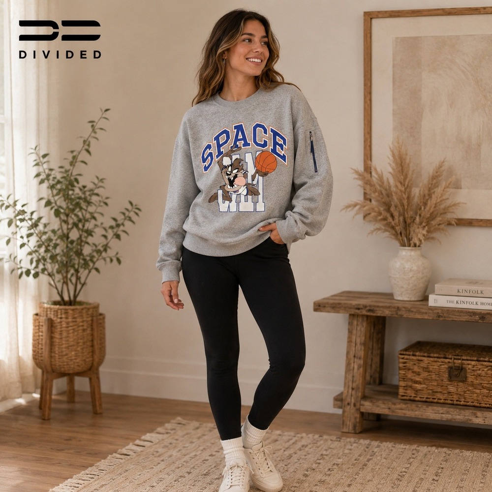 H&M Divided Space Jam Taz Sweatshirt Gray Graphic Pullover Looney Tunes Large